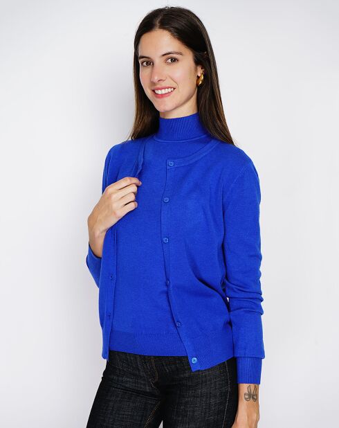 Pull en Cachemire mélangé Sophia col cheminée royal