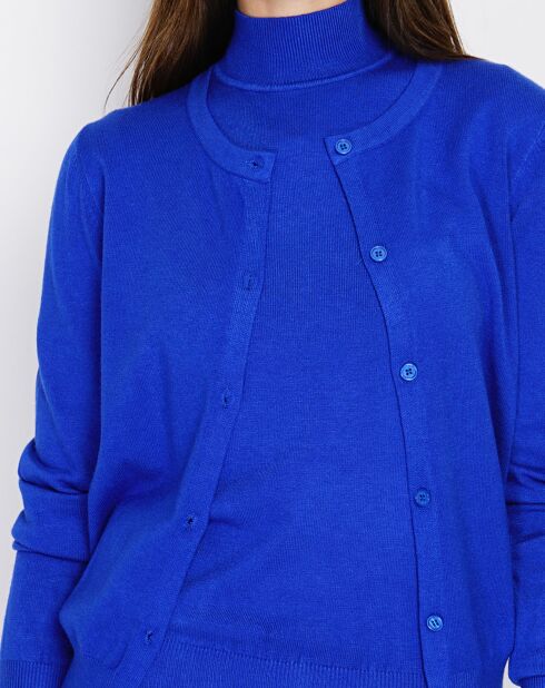 Pull en Cachemire mélangé Sophia col cheminée royal