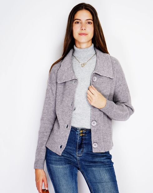 Gilet en Cachemire mélangé Leila flanelle
