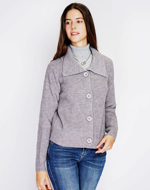 Gilet en Cachemire mélangé Leila flanelle