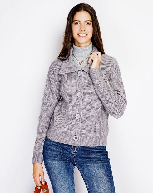 Gilet en Cachemire mélangé Leila flanelle
