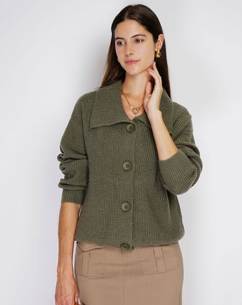 Gilet en Cachemire mélangé Aloa kaki