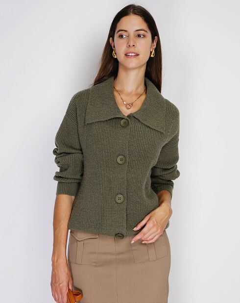 Gilet en Cachemire mélangé Aloa kaki