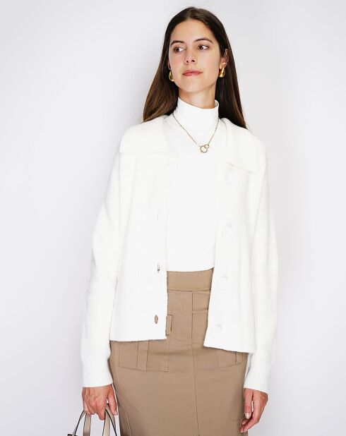 Gilet en Cachemire mélangé Aloa naturel