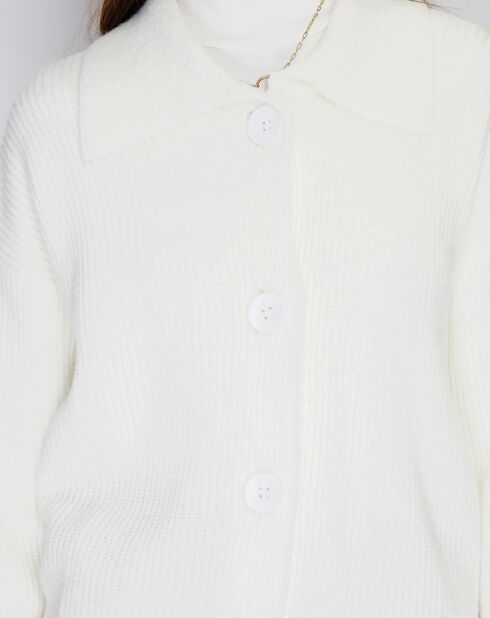 Gilet en Cachemire mélangé Aloa naturel