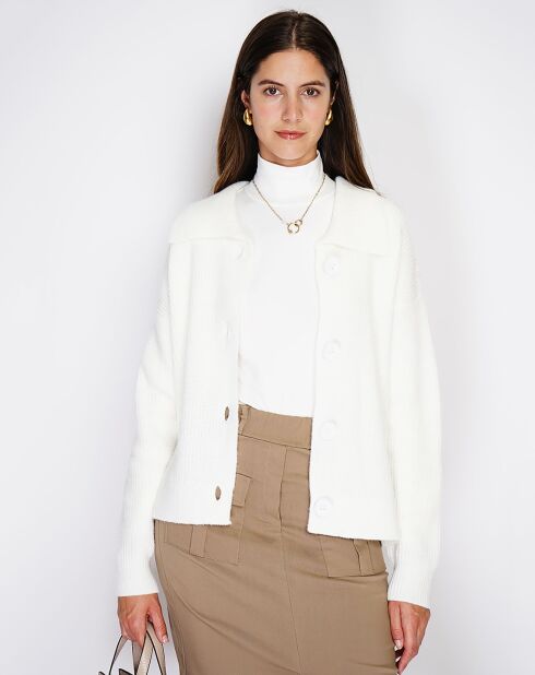 Gilet en Cachemire mélangé Aloa naturel