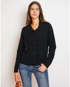 Gilet en Cachemire mélangé Aloa noir