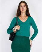 Pull en Cachemire mélangé  Jina vert amazone