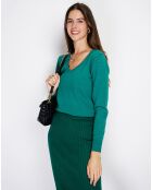 Pull en Cachemire mélangé  Jina vert amazone