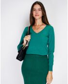 Pull en Cachemire mélangé  Jina vert amazone