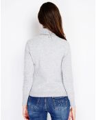 Pull en Cachemire mélangé Charlotte givre