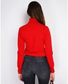 Pull en Cachemire mélangé Charlotte hermes