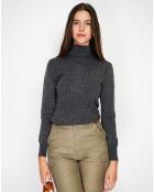 Pull en Cachemire mélangé Charlotte loup