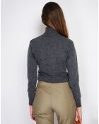 Pull en Cachemire mélangé Charlotte loup