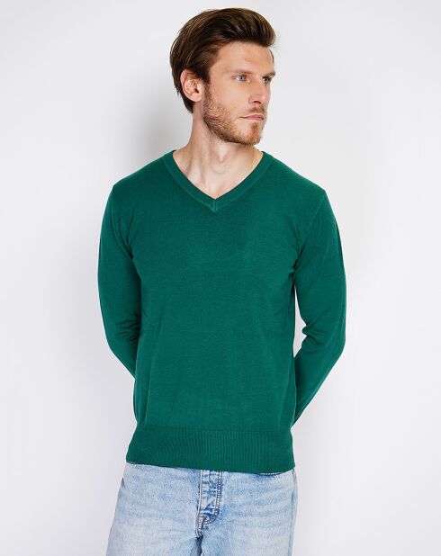 Pull en Cachemire mélangé Maellis vert amazone