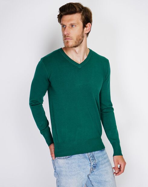 Pull en Cachemire mélangé Maellis vert amazone