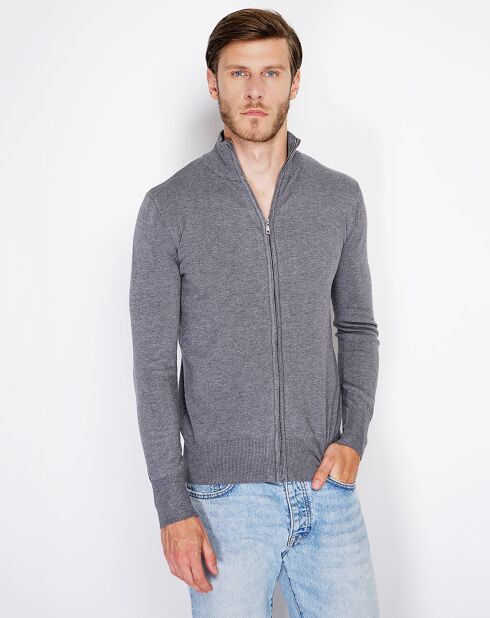 Gilet en Cachemire mélangé Lilou loup