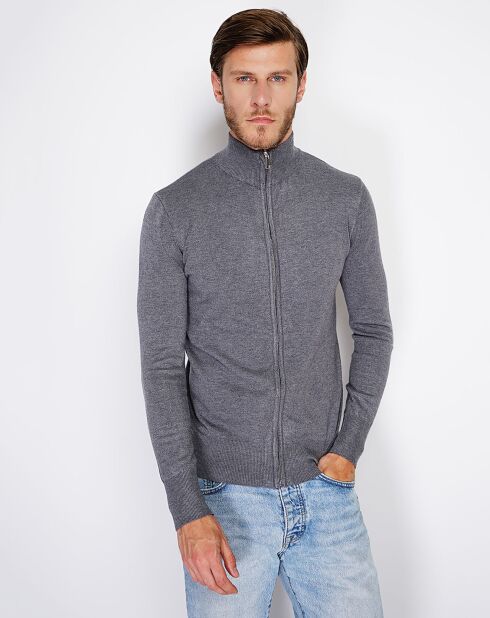 Gilet en Cachemire mélangé Lilou loup