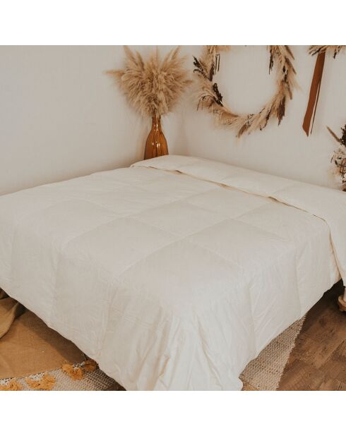 Couette Natura Duvet & Plumes blanche - 200x200 cm