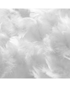 Couette Natura Duvet & Plumes  blanche - 240x220 cm