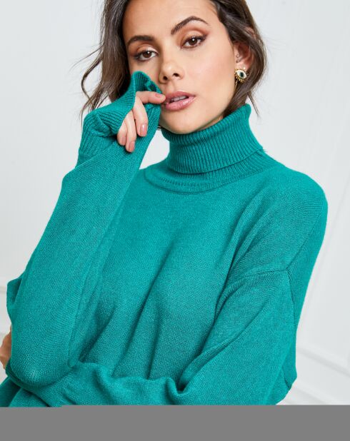 Pull en cachemire mélangé Elona vert