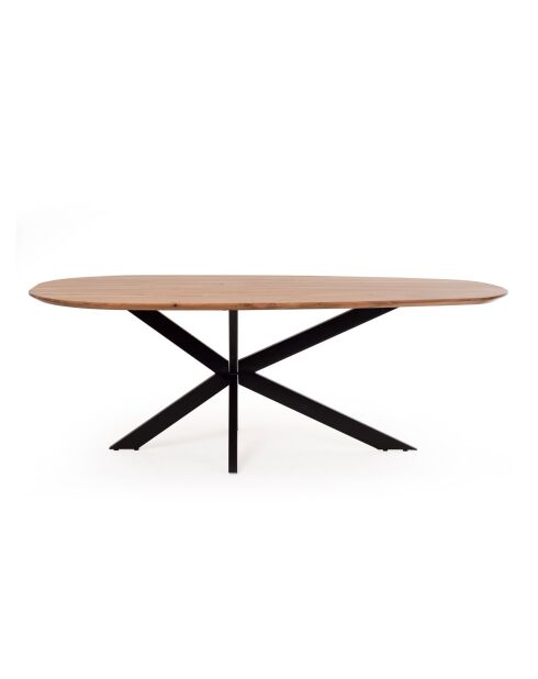 Table ovale 220 cm  M&M offer  Shape Collection