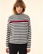 Pull Darwin rayure marin