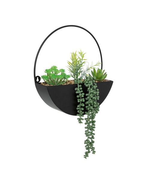 Plante à suspendre Imy  noire - 30x7x41 cm