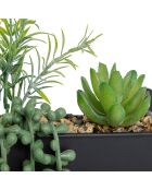 Plante à suspendre Imy  noire - 30x7x41 cm