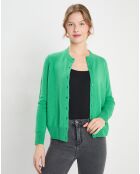 Cardigan 100% Cachemire Zacao vert emeraude