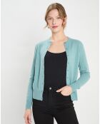 Cardigan 100% Cachemire Zacao bleu vert