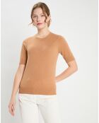 Pull 100% Cachemire manches courtes Difi camel