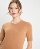 Pull 100% Cachemire manches courtes Difi camel