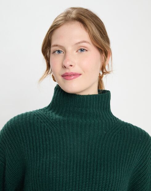 Pull en Laine & Cachemire Sydney vert foncé