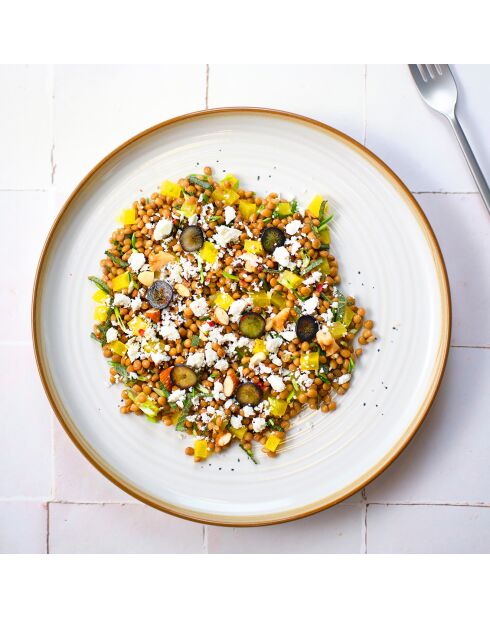 18-teiliges Tafelset aus baltischem Vanillesteinzeug