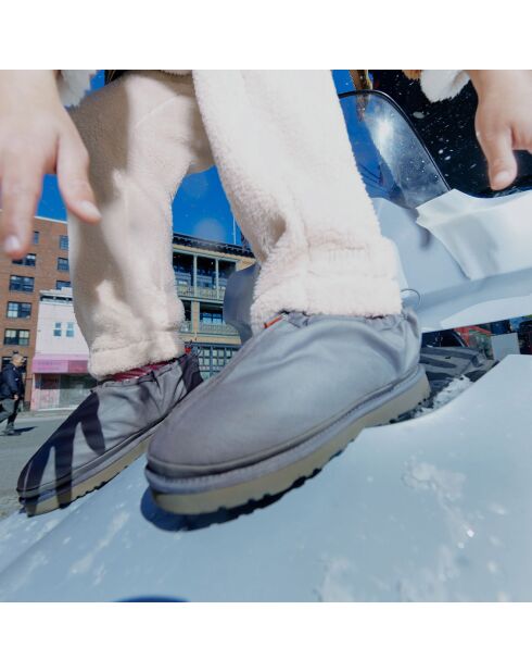 Chaussures Tasman gris