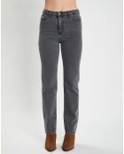 Jean Regular gris