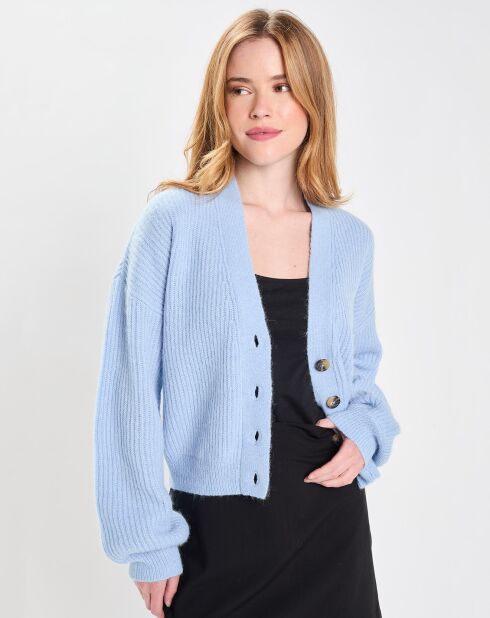 Gilet en Alpaga & Laine mélangés  Rina bleu clair