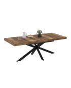 Table repas Eliza plateau extensible bois vieilli avec rangements 160-200cm