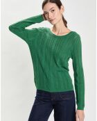 Pull Milane vert