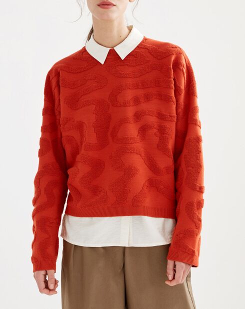 Pull à motifs bouclette goji