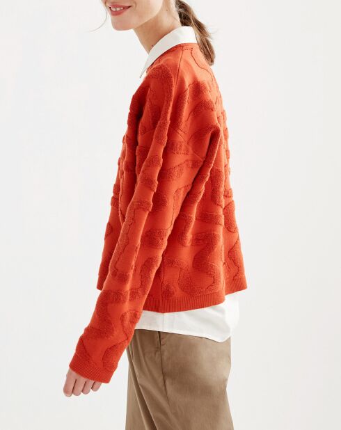 Pull à motifs bouclette goji