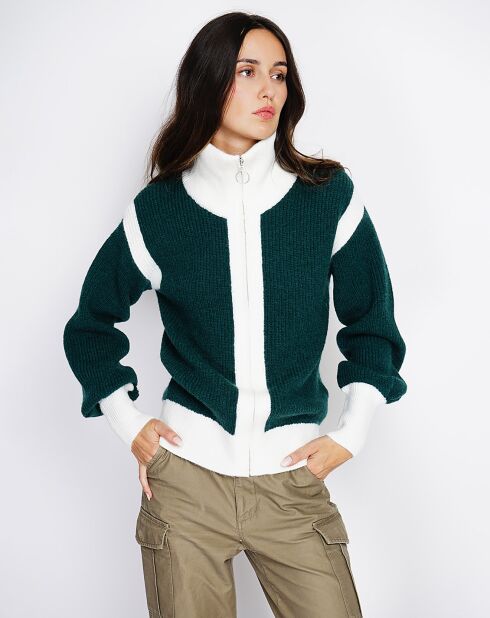 Cardigan Claudia in misto cashmere verde Amazon