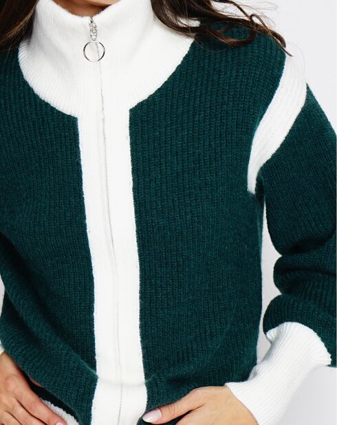 Cardigan Claudia in misto cashmere verde Amazon