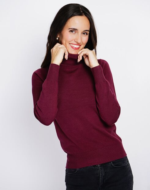 Pull en Cachemire mélangé Camélia bordeaux