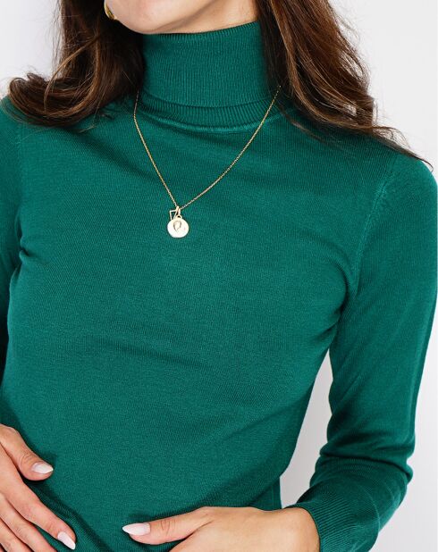Pull en Cachemire mélangé Camélia vert amazone