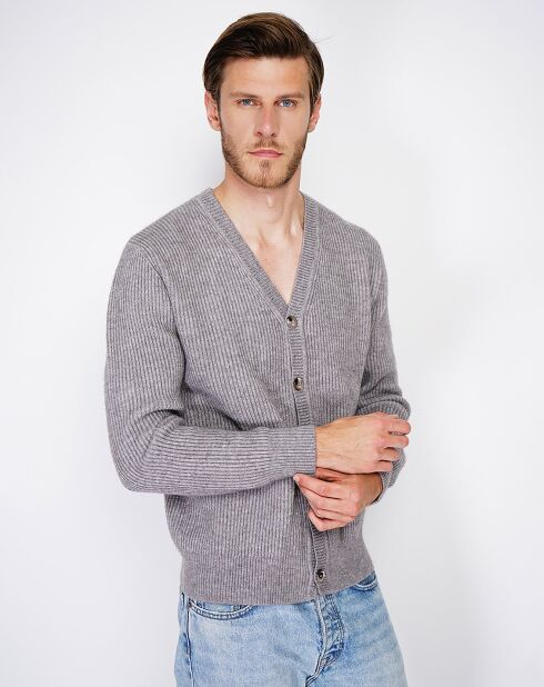 Cardigan en Cachemire mélangé Jules gris