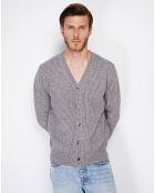 Cardigan en Cachemire mélangé Jules gris
