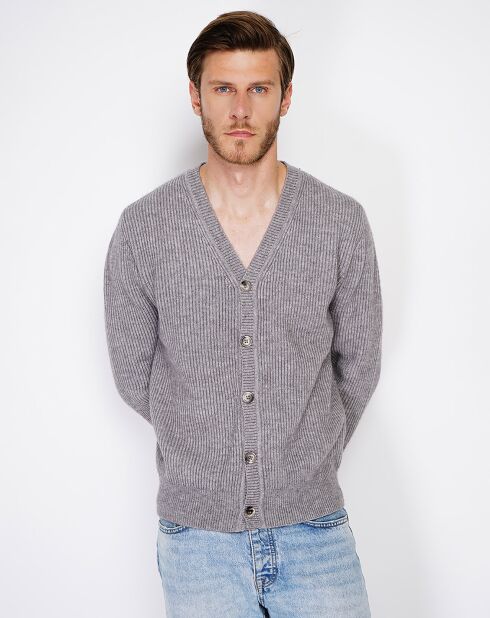 Cardigan en Cachemire mélangé Jules gris