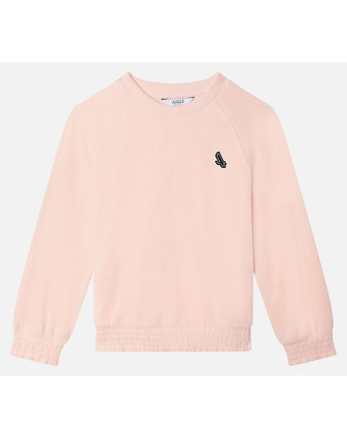 Sweat Patch Aigle rose givrée
